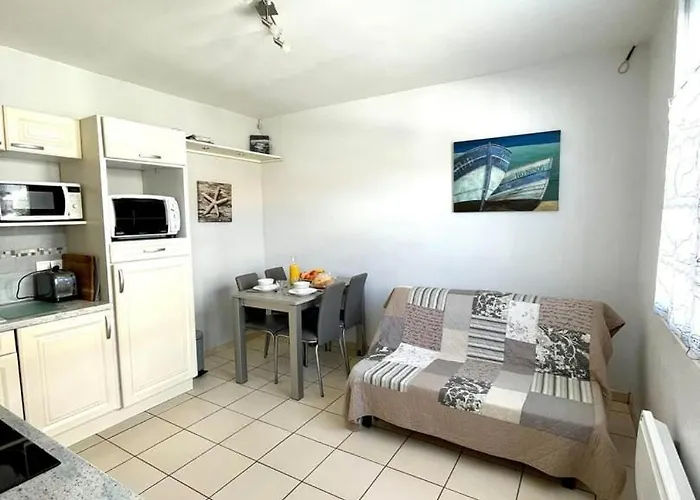 L'hippocampe - 1 Au Coeur Du Quartier Arago 公寓 莱萨布勒-多洛讷